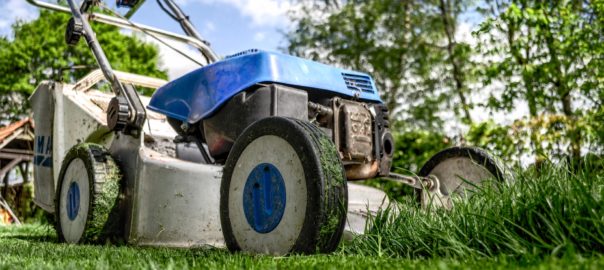5 Questions to Ask When Choosing a New Lawn Mower to Buy