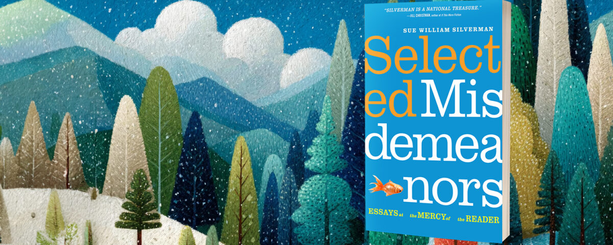 Cover of Selected Misdemeanors by Sue William Silverman