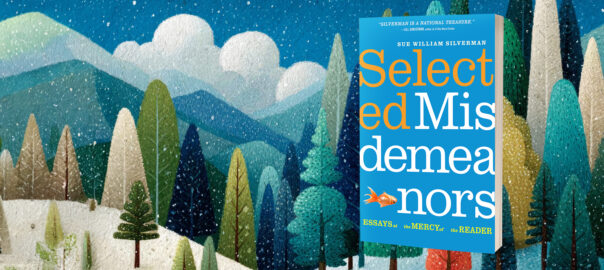 Cover of Selected Misdemeanors by Sue William Silverman